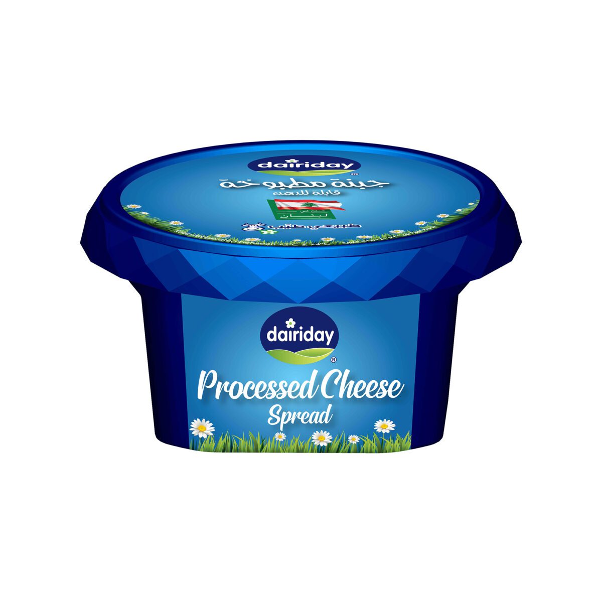 Dairiday-Processed-Cheese-Spread-150g