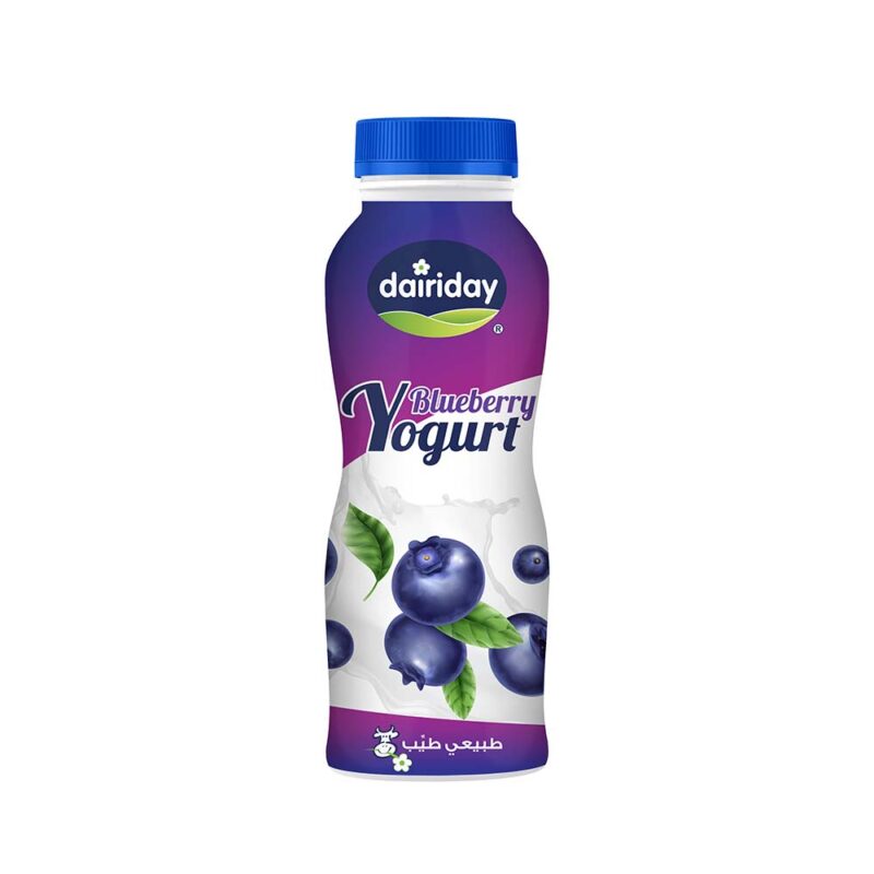 Dairiday Yogurt Blueberry 250ml - Dairy Lebanon