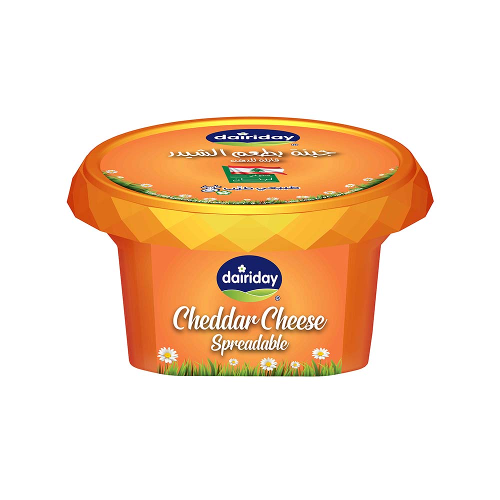 Dairiday Cheddar Cheese Spread 150g - Dairy Lebanon