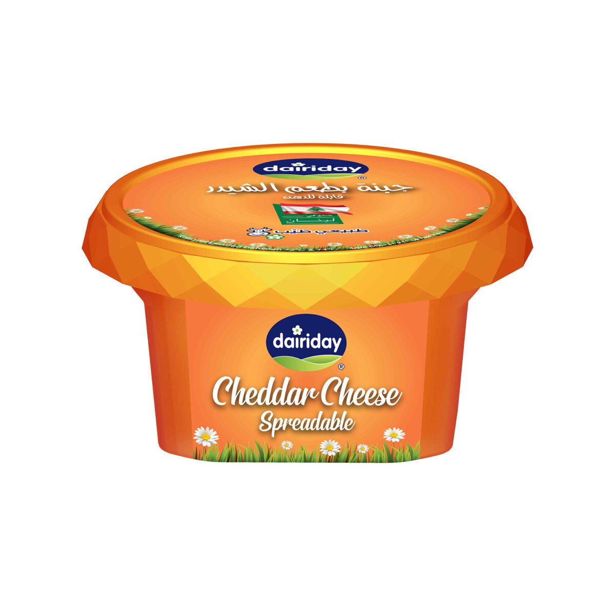 Dairiday-Cheddar-Cheese-Spreadable-80g