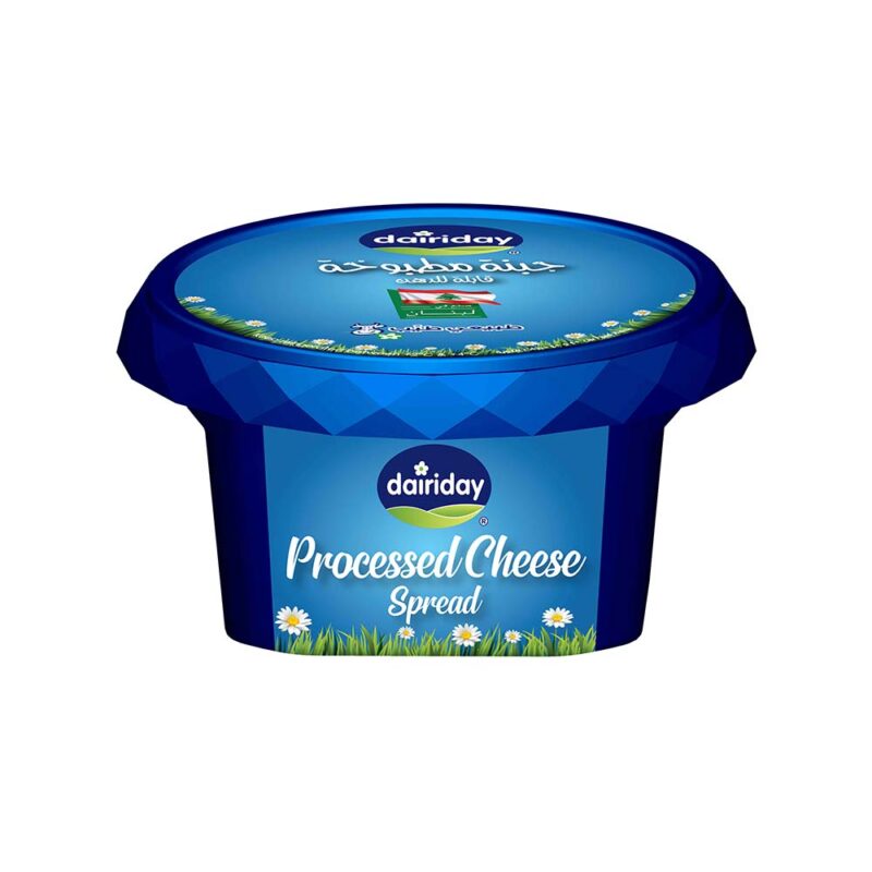 Dairiday Processed Cheese Spread 150g - Dairy Lebanon