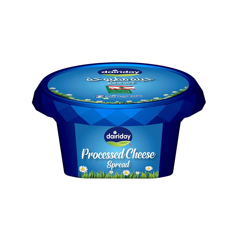 Dairiday Processed Cheese Spread 80g - Dairy Lebanon
