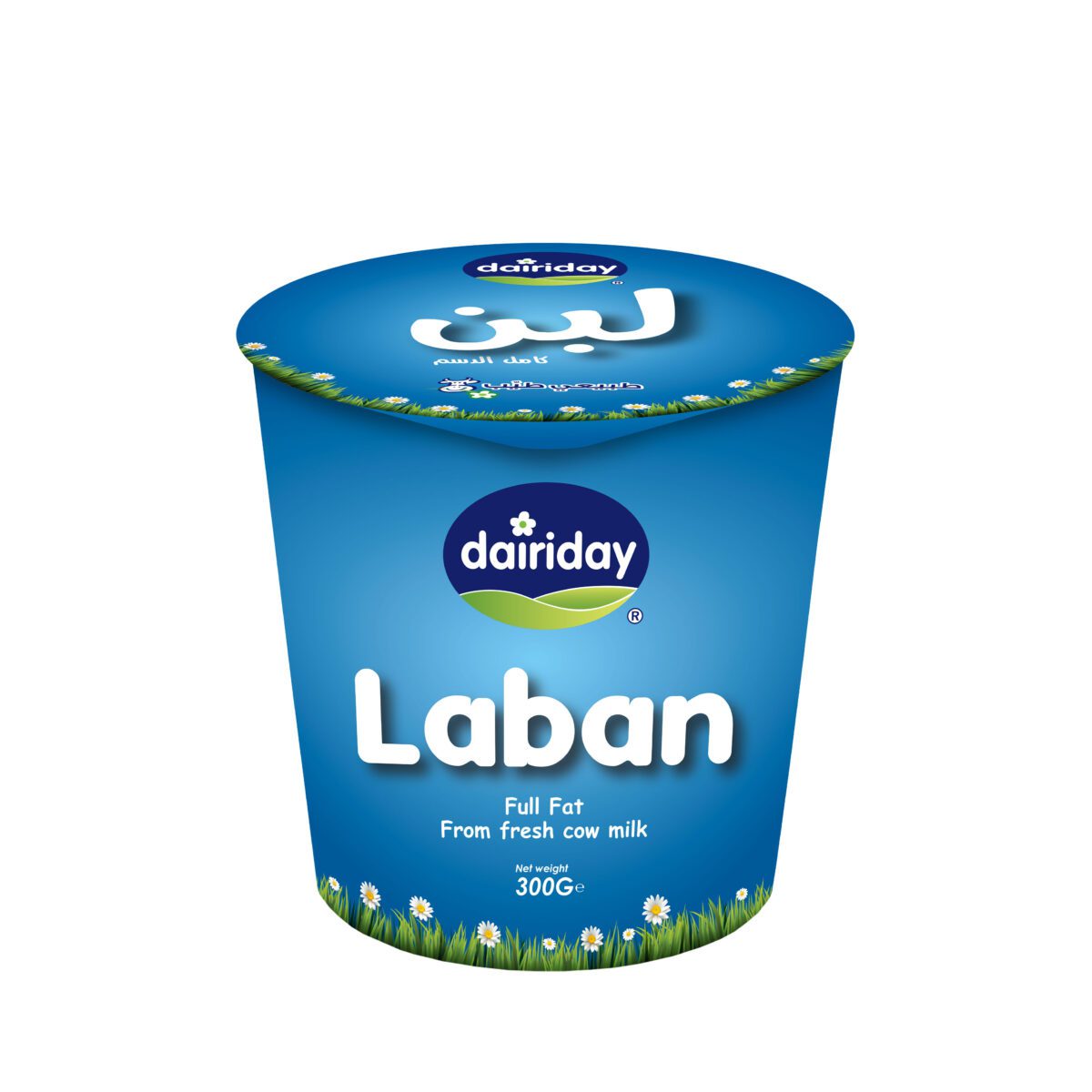 Dairiday-Laban-300g
