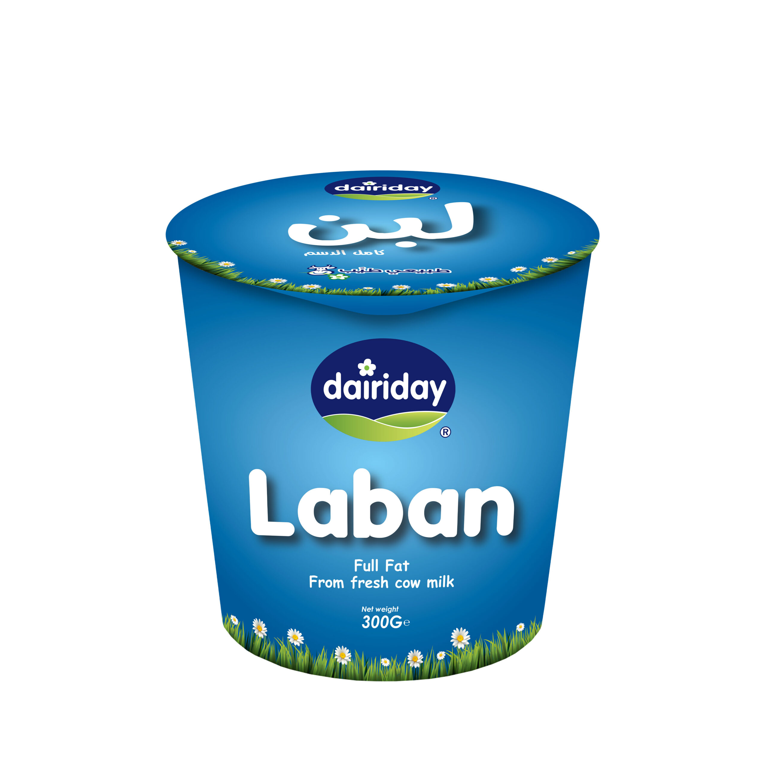 Dairiday-Laban-300g