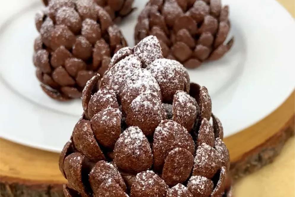 Dairiday recipe Chocolate Pinecones